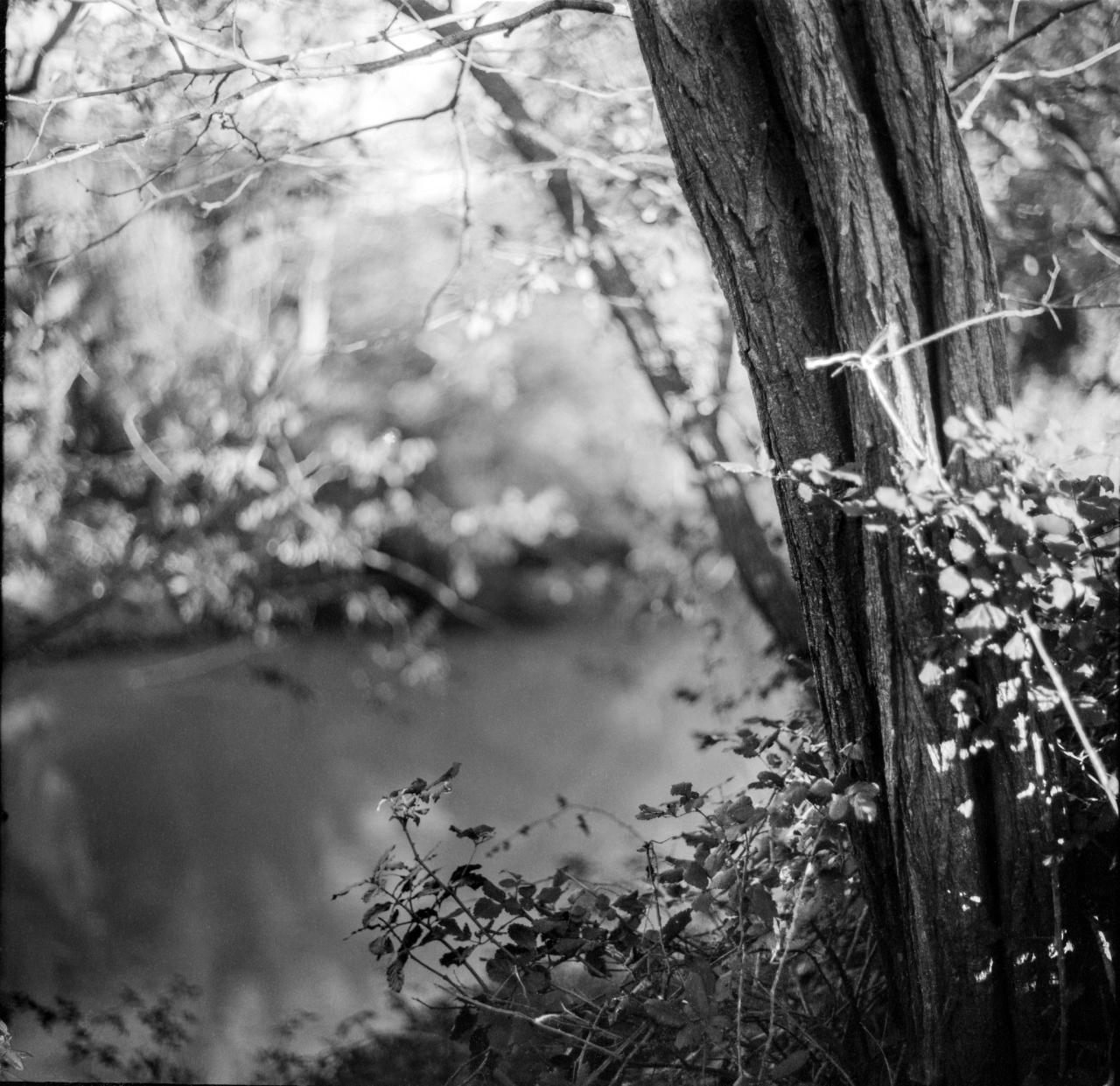 ombrone river bokeh