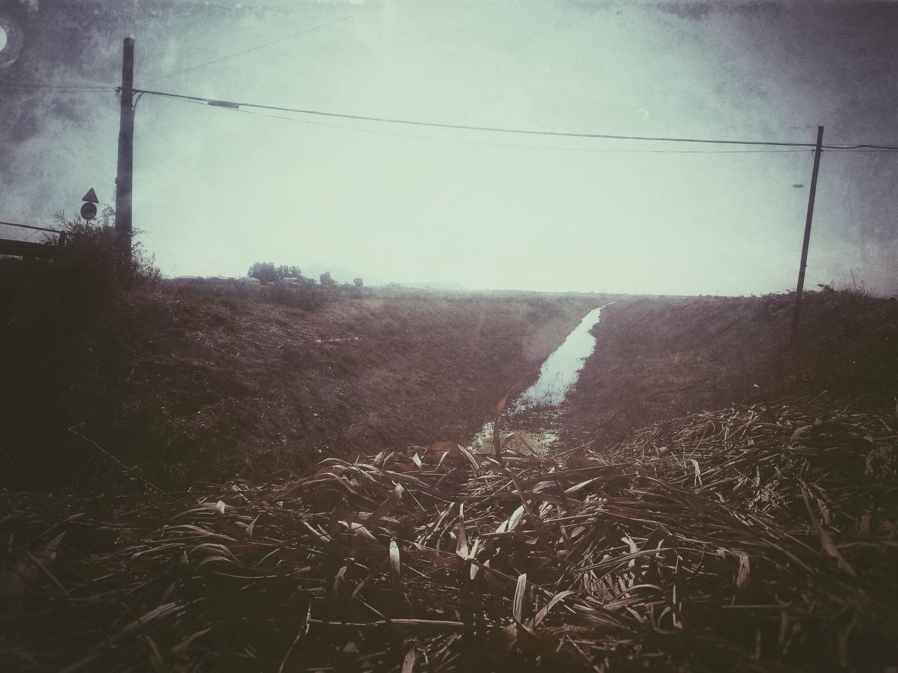 countryside and river with electric poles